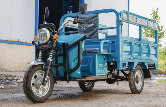 Tricycle Électrique Mixte (Transport de Personnes et de Marchandises) - 1000W avec Options de Moteur et Couleurs Personnalisables